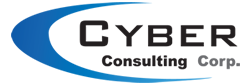 Cyber Consulting Store
